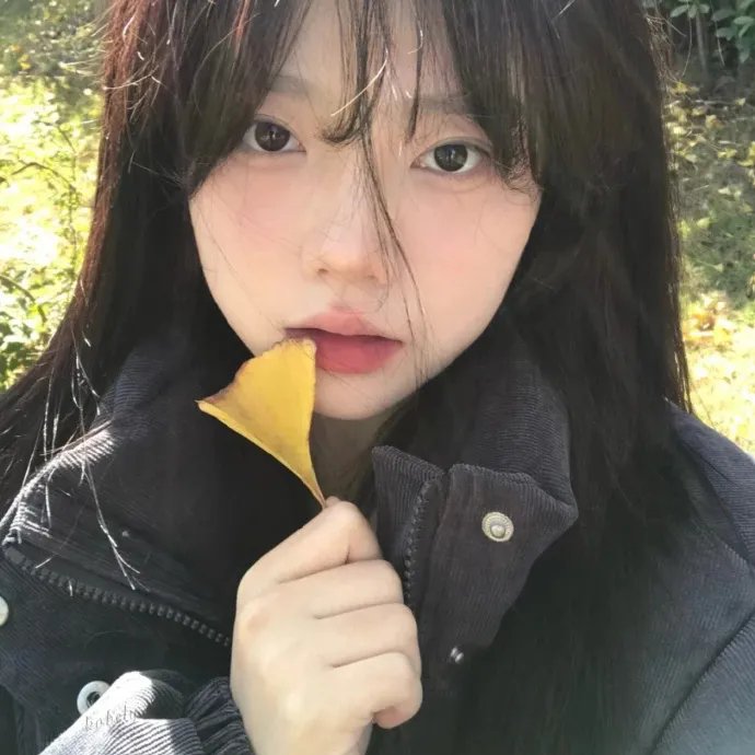 喧闹一家亲第四季